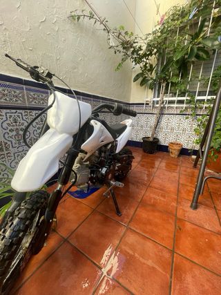 Pit Bike Speed 125cc Cross Manual