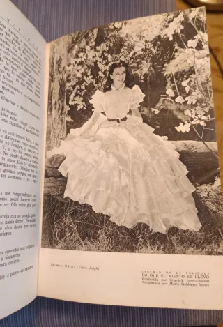 Lo que el viento de llevó