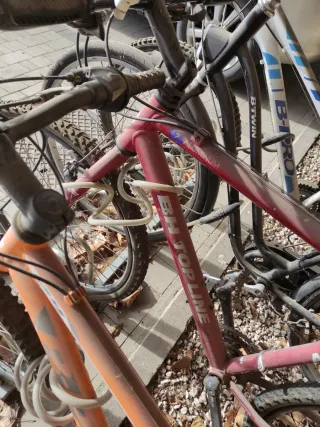 Lote 4 Bicicletas. Con muy poco uso y completas