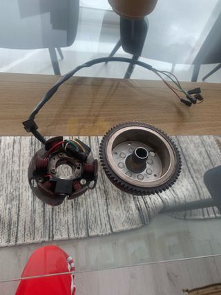 Encendido Ducati 6 Polos con dentado