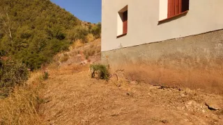Terreno rural con casa para habilitar.