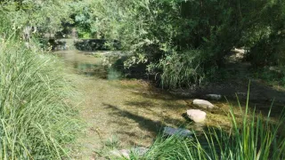 Terreno rural con casa para habilitar.