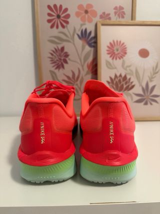 Nike Zoom Fly 6 Rojas y Verdes