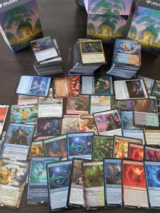 Blocco Carte Magic The Gathering Lorwyn