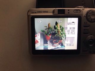 Cámara Sony Cyber-shot DSC-W50