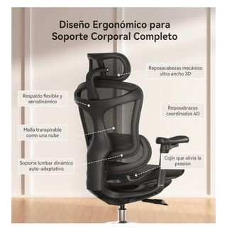 Silla ergonómica SIHOO Doro C300 Negra