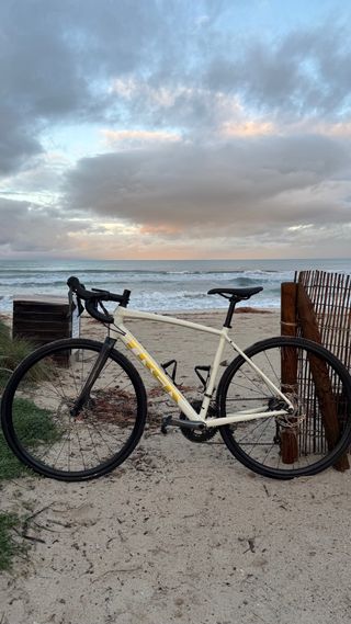 TREK DOMANE AL 4 DISC