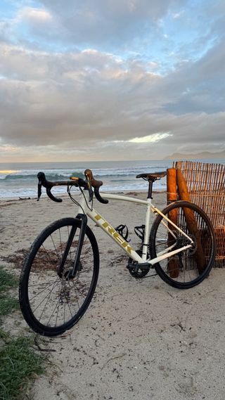 TREK DOMANE AL 4 DISC