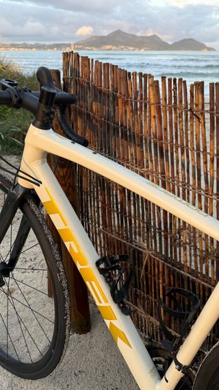 TREK DOMANE AL 4 DISC