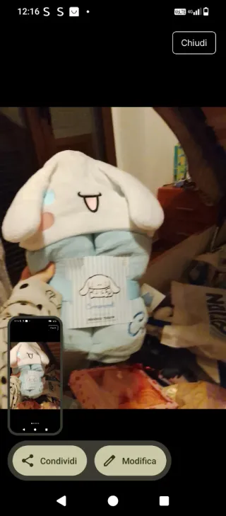 Copertona cinnemoreal