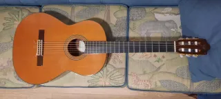 Guitarra Clásica Amplificada 9 Cuerdas