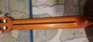 Guitarra Clásica Amplificada 9 Cuerdas