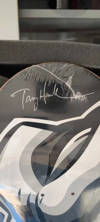 Tabla del Tony Hawk's Pro Skater (leer bien)