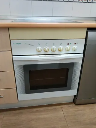 Placa vitrocerámica y horno Aspes