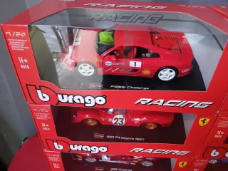 Colección 6 coches Burago escala 1/24 Rally Racing