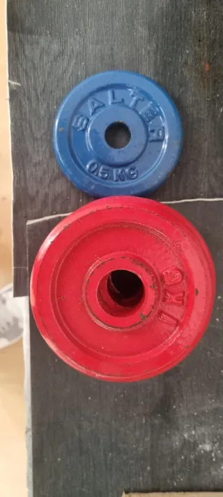 4 discos de 1kg y 1 de 0,5kg