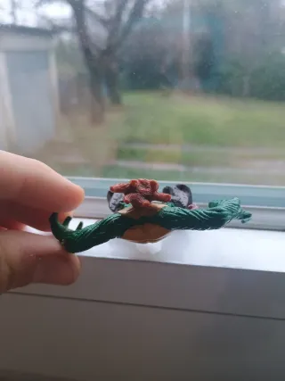 Energheia Strapparmi il Furioso Polo Foresta