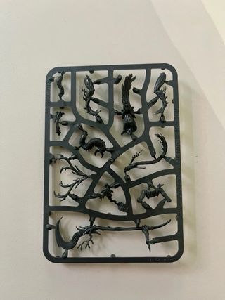 Warhammer Sylvaneth Branchwych Citadel