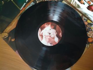 Florence + The Machine - Lungs Vinil