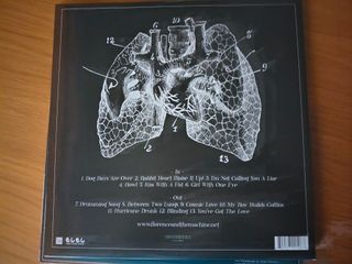 Florence + The Machine - Lungs Vinil