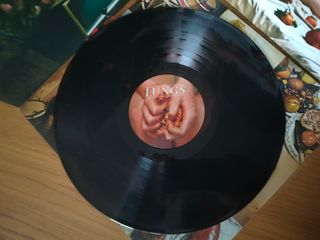 Florence + The Machine - Lungs Vinil