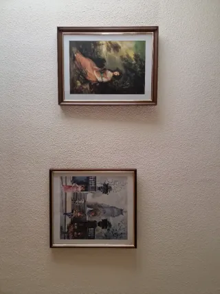 Conjunto de 15 cuadros