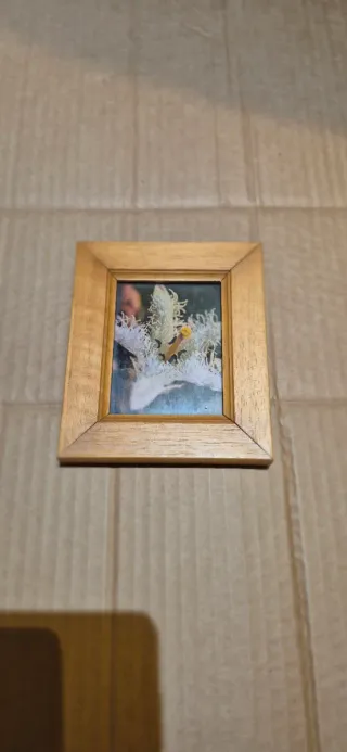 Cornice 15x10 in legno e vetro