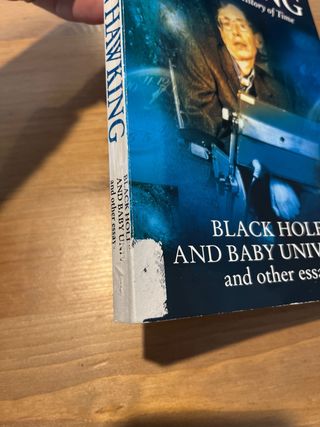 Black Holes and Baby Universes and Other Essays