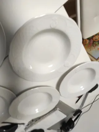 5 Platos Bidasoa (3 hondos, 2 llanos)