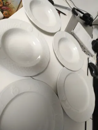 5 Platos Bidasoa (3 hondos, 2 llanos)