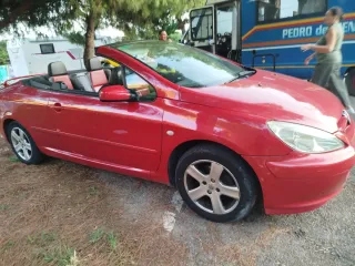 Peugeot 307 2004