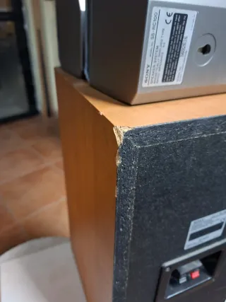 Altavoces Sony SS-NX1 y SS-RC100