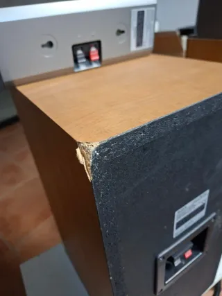 Altavoces Sony SS-NX1 y SS-RC100