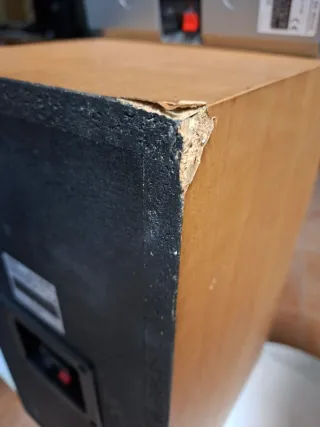 Altavoces Sony SS-NX1 y SS-RC100