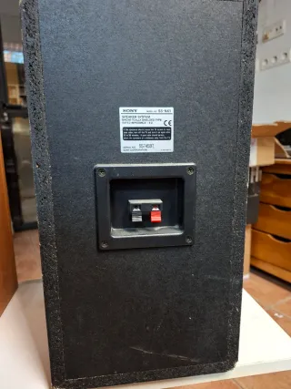 Altavoces Sony SS-NX1 y SS-RC100