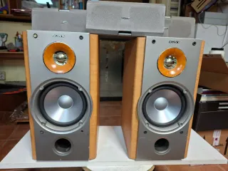 Altavoces Sony SS-NX1 y SS-RC100