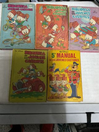 Biblioteca Jovenes Castores