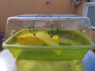 Tortuguera con tobogán y palmeras