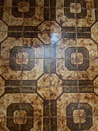 Racholas 0,5 euro/unidad (la foto es un modelo)