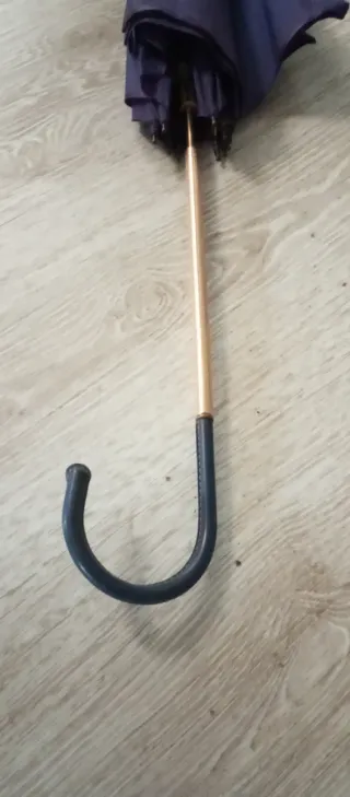 Paraguas antiguo púrpura