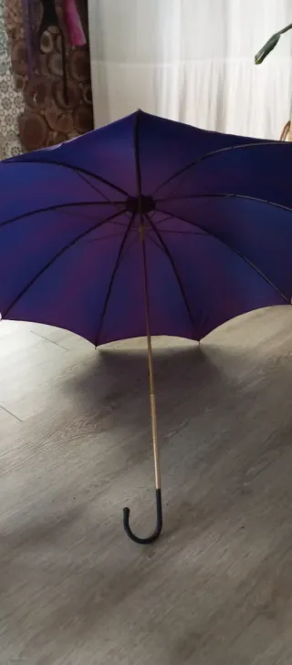 Paraguas antiguo púrpura