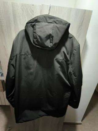 Cazadora Springfield verde