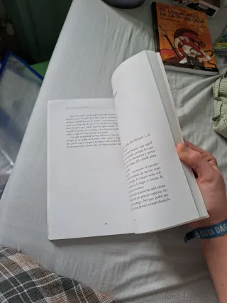 Don Quijote de la Mancha version adaptada Anaya