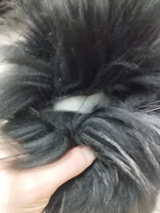 Cappotto Lisa Kott Nero con Pelliccia Tg 46/48