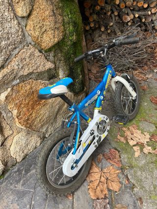 Bicicleta infantil azul de niño