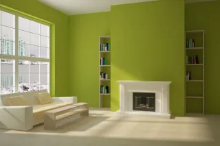 Pintor profesional y garantizado