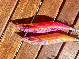 Pack 10 Jibioneras/Pajaritos calamar