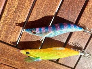 Pack 10 Jibioneras/Pajaritos calamar