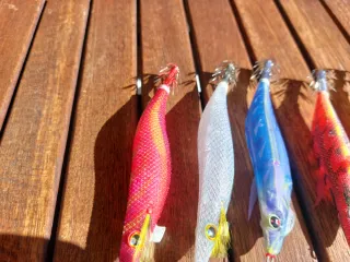 Pack 10 Jibioneras/Pajaritos calamar