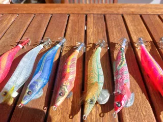 Pack 10 Jibioneras/Pajaritos calamar